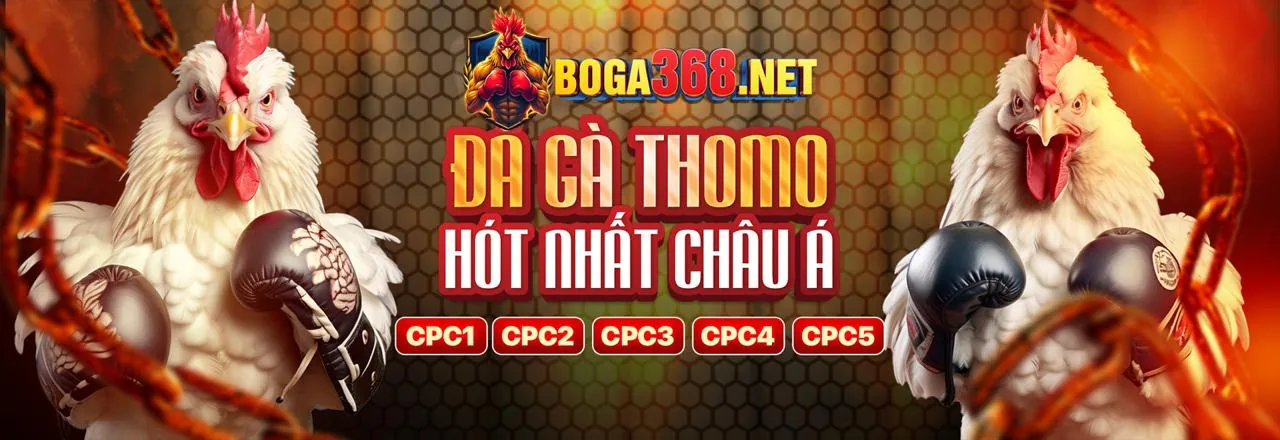 Hình ảnh tổng hợp các môn thể thao cá cược